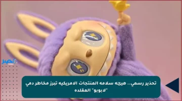 تحذير رسمي.. هيئة سلامة المنتجات الأمريكية تبرز مخاطر دمى “لابوبو” المقلدة